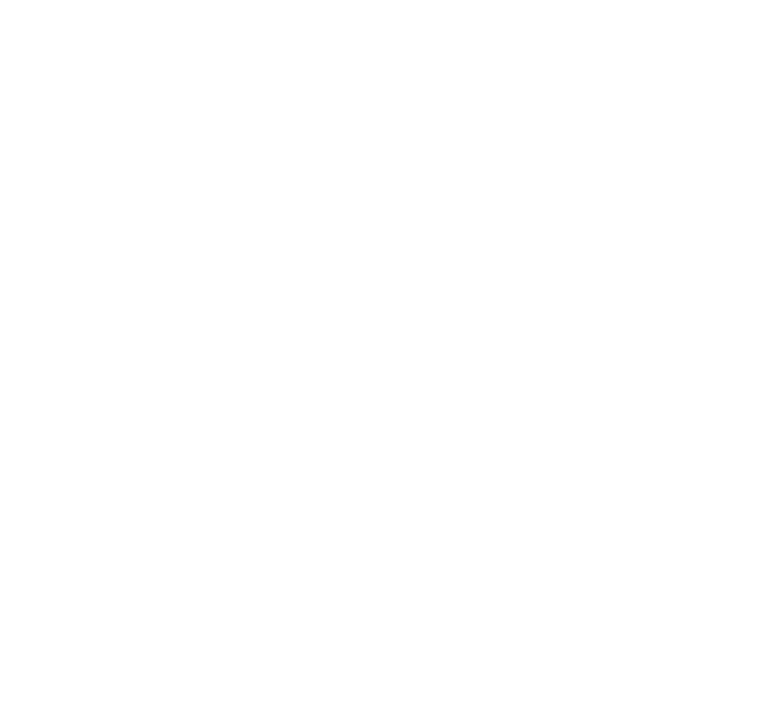 White Next Steps Idaho Logo